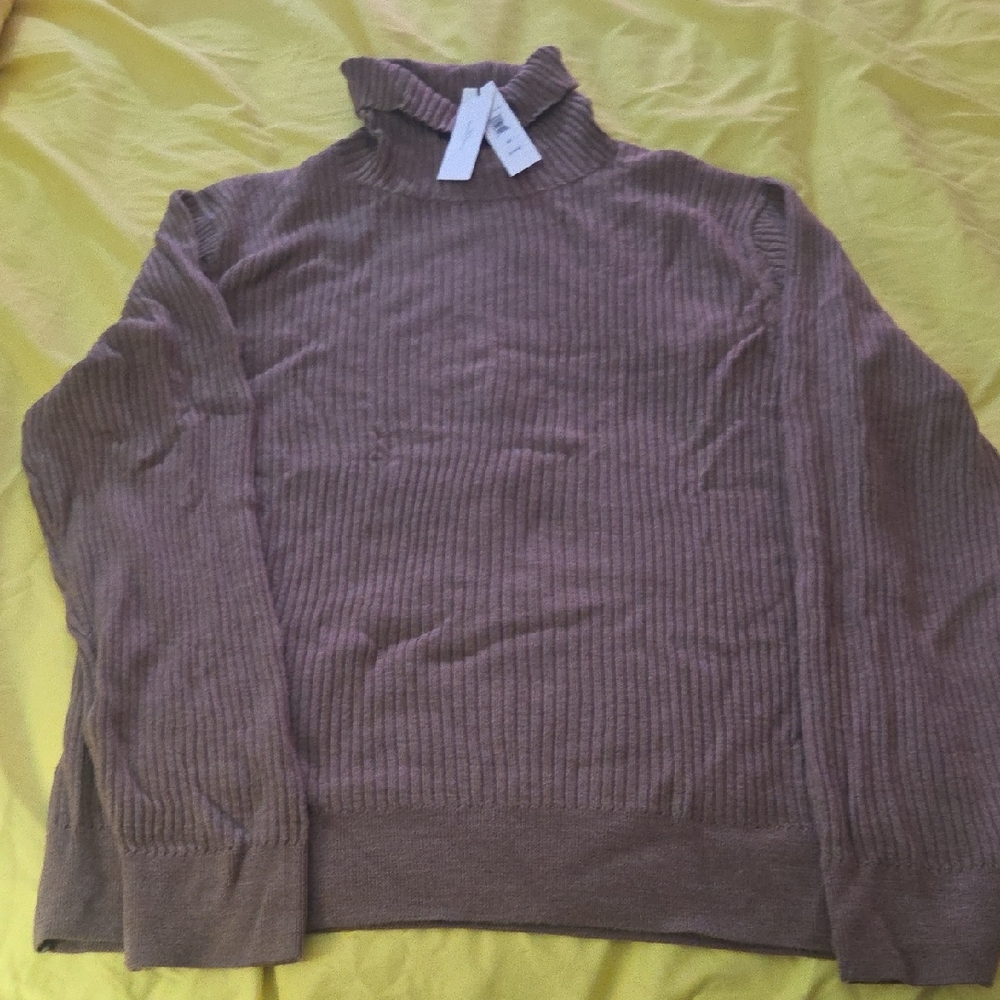 Banana Republic Men's Fine Merino Wool Ribbed Turtleneck Sweater in Taupe